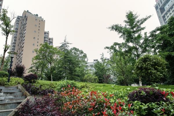 合川江城麗景景觀工程