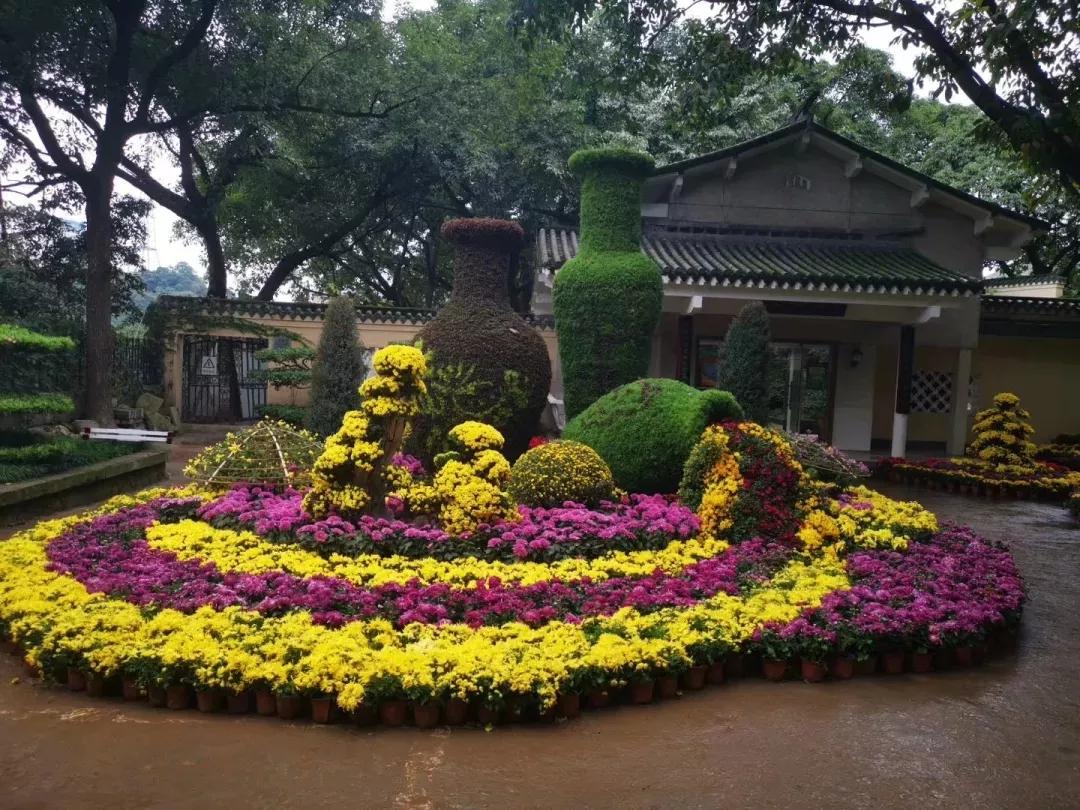 2020年鵝嶺公園秋季菊展項(xiàng)目